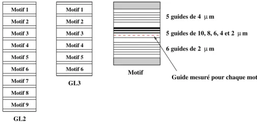 Fig. 1.2 – G´eom´etrie des deux ´echantillons et de chaque motif r´ep´et´e.