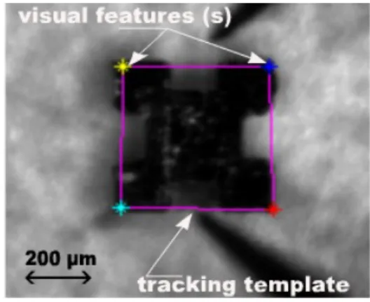 Fig. 4. Image captured during the micro-object tracking.
