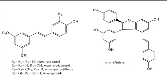 Figure 0 8 : Exemple de structure de cinq stilbènes (Perret, 2001). 