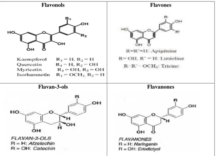 Tableau 1: Différente classe des flavonoïdes (Nkhili, 2009) 