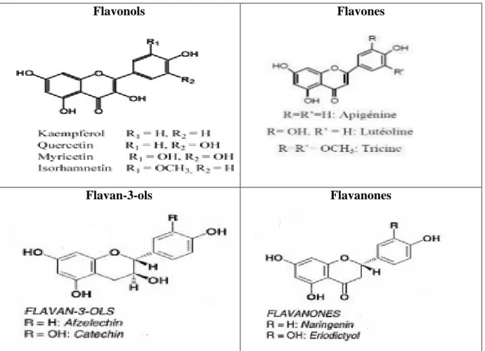 Tableau 1: Différente classe des flavonoïdes (Nkhili, 2009) 