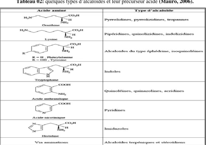 Tableau 02: quelques types d’alcaloïdes et leur précurseur acide (Mauro, 2006). 