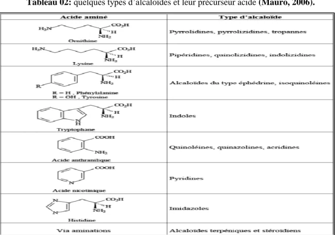Tableau 02: quelques types d’alcaloïdes et leur précurseur acide (Mauro, 2006). 