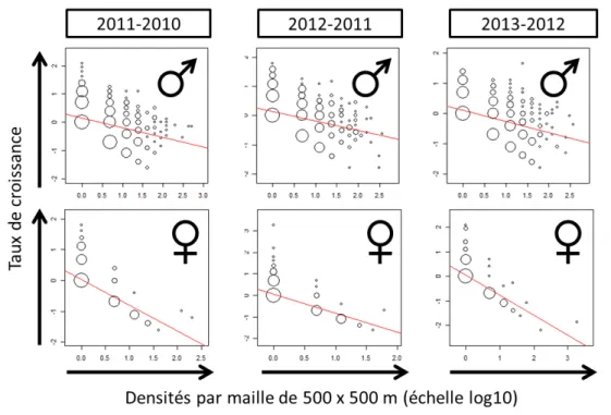 Figure 45 : Taux de croissance interannuels de 2010 à 2012 (de gauche à droite) en fonction des densités par  maille de 500 x 500 m l’année précédente (mâles en haut, femelle en bas)
