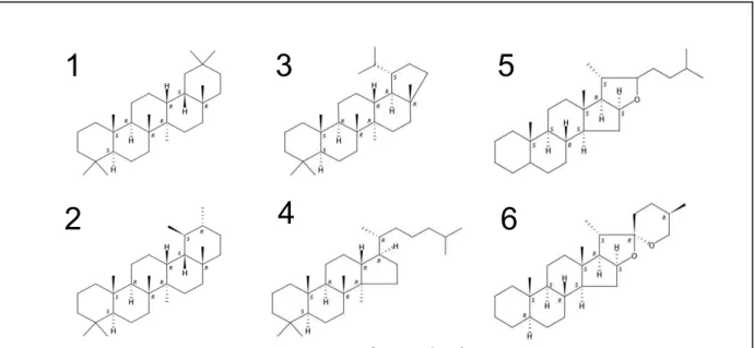 Figure 12. Les six formes de génines. 