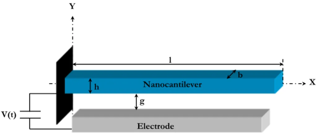 Figure 2: Schema of an electrostatically actuated nanocantilever