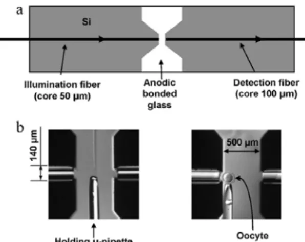 Figure 1. Schematic diagram (a) and microscope  views (b) of the device [24]. 