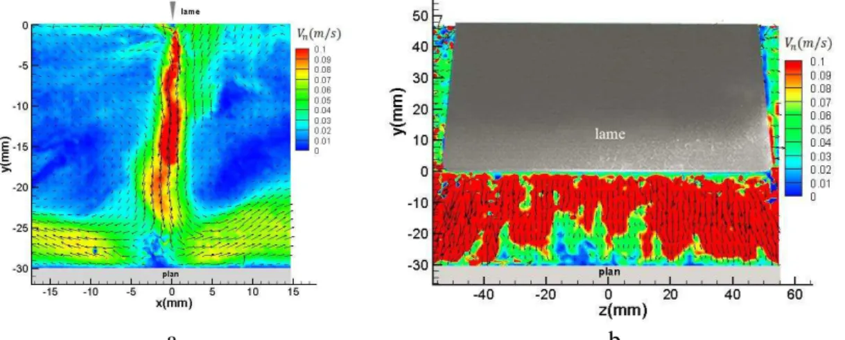 Figure 2.4 : Champ de vecteurs et module de vitesse (m/s) instantanée  d’un jet EHD 