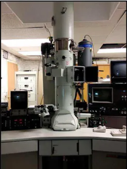 Figure 14 Microscope électronique à transmission. 