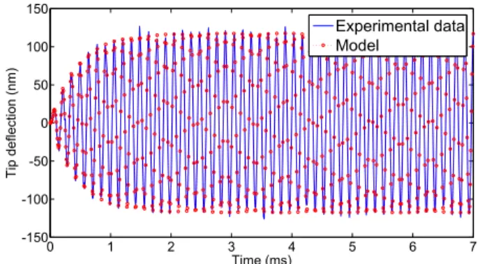 FIG. 16. Free end deflection of the cantilever E in response to a 60dB sinusoidal excitation at its first resonant frequency (model and experimental measurements).