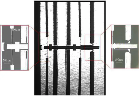 Fig. 7. Microfabricated module 