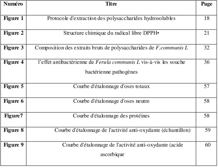 Figure 1  Protocole d'extraction des polysaccharides hydrosolubles   18  Figure 2  Structure chimique du radical libre DPPH•   21  Figure 3  Composition des extraits bruts de polysaccharides de F.communis L  32  Figure 4  l’effet antibactérienne de Ferula 