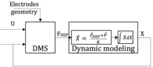 Fig. 4. A dynamic modeling and DMS are used to compute the micro- micro-bead’s 3D trajectory.