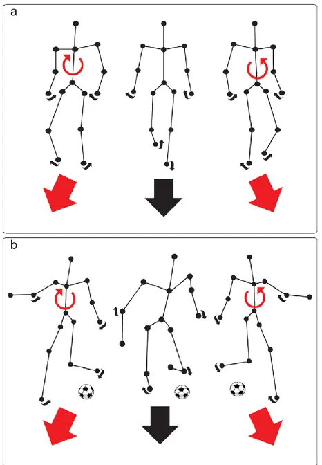 Figure 2-1. Front-facing biological motion perception tasks.  