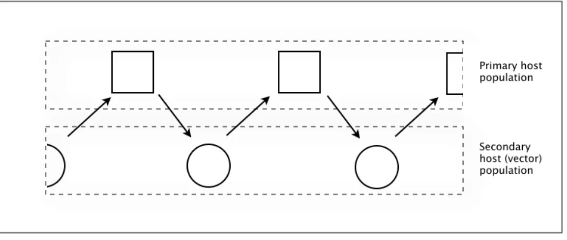 Fig. 3-3.  Zig-zag pattern of  simple vector mediated transmission.