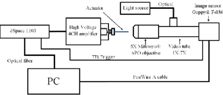 Figure 4.  Experimental setup: actuators fixture on the left and the  microscopy camera on the right