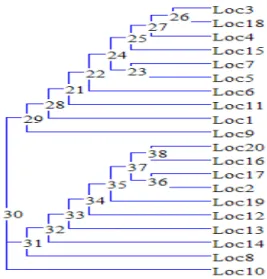 Figure 4.3 – Dendrogramme généré à partir de la matrice de distance des score de vraisemblance de 20 modèles MMG de locuteurs.