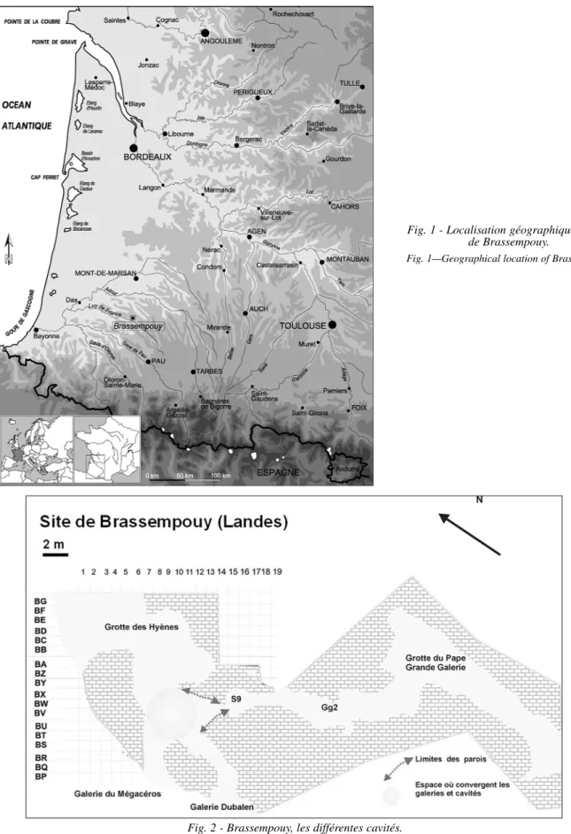 Fig. 2 - Brassempouy, les différentes cavités.