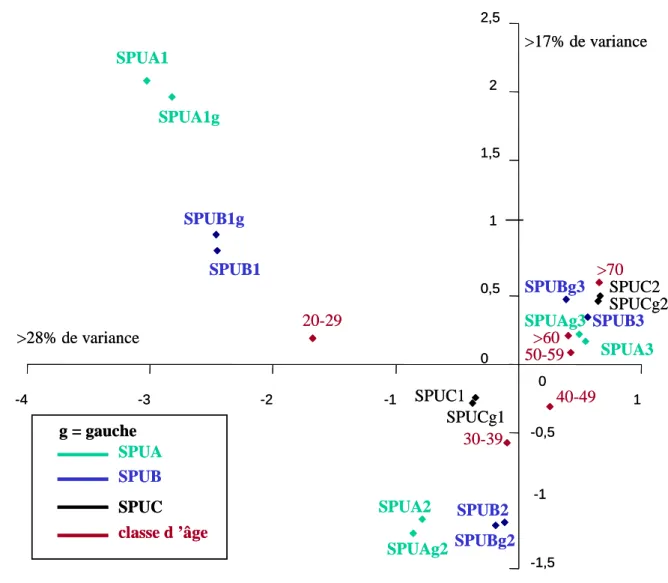 Figure IV.4 : analyse des correspondances multiples des caractères   de la symphyse pubienne et des classes d’âge 