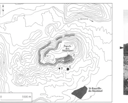 Fig.  3. Vue générale du versant sud du Puech des Mourgues prise du  sud. 