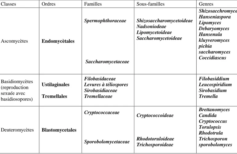 Tableau 1 : classification simplifiée des levures (ALPHONSE., et al., 2004) 