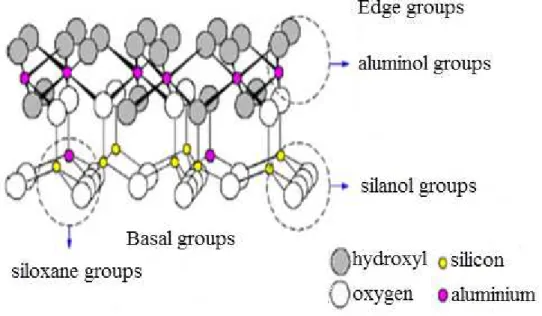 Figure 2.16 Proposed charged sites on kaolinite used in the two site adsorption model