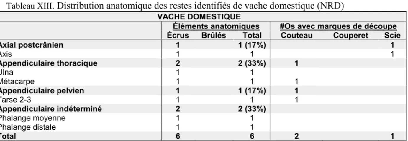 Tableau XIII.  Distribution anatomique des restes identifiés de vache domestique (NRD) 