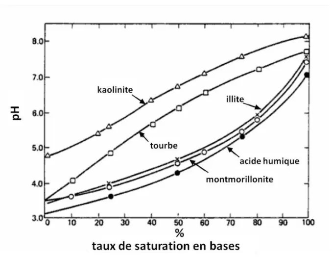 Figure I.4 : Courbes de pH-taux de saturation en bases de différents colloïdes de sol  (d’après Troeh et  Thompson, 2005)