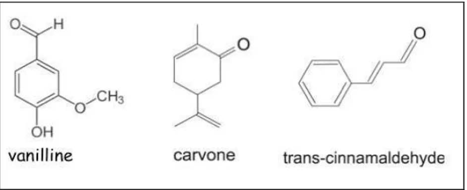 Figure 8 : Structure chimique de la vanillline, de la carvone et de la trans-cinnamaldéhyde (Burt,  2004) 