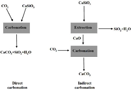 Figure 8. Voies de carbonatation : direct ou indirect – Cas de la wollastonite CaSiO 2  (Eloneva, 2010) 