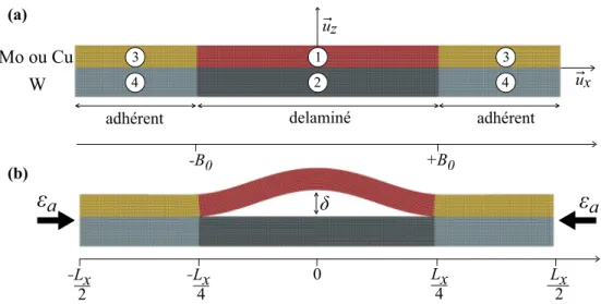 Figure 2.4 – Vues de proﬁl du bicristal simulé (a) avant cloquage et (b) après cloquage.