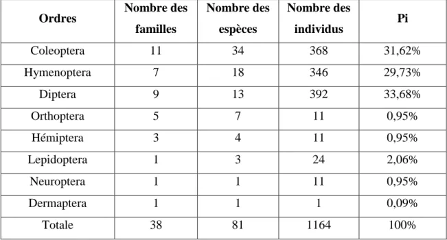 Tableau 05: Liste globale des ordres capturés dans la station de DHAOUIA (2016-2017). 