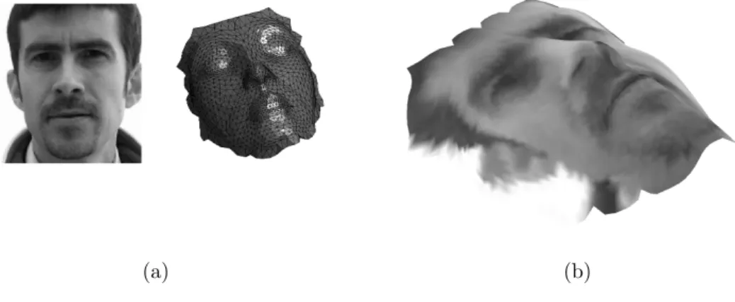 Figure 1: (a) Euclidean real-valued function + smooth surface (as a discrete mesh); (b) real-valued function on smooth surface.