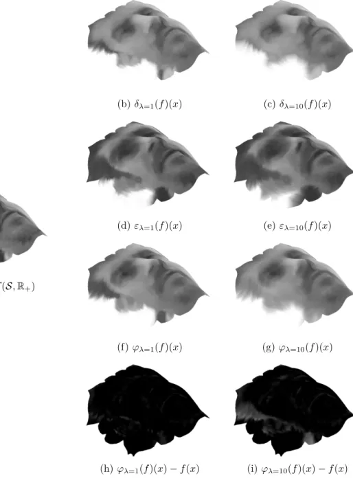 Figure 2: Morphological operators applied on a real-valued function on a smooth surface: (a) original image f : S → R , (b) and (c) canonic Riemannian dilation δ λ (f ) with λ = 1 and λ = 10, (d) and (e) canonic Riemannian erosion ε λ (f ) with λ = 1 and λ