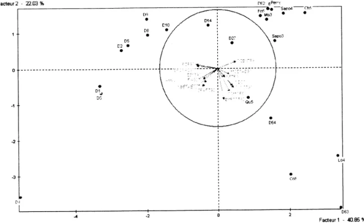 TABLEAU  14b  ACP sectorielle -1999