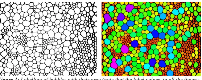 Figure 1: Labelling of bubbles with their area (note that the label values, in all the figures, have been normalized in order to be contained in the range [0,255 ] for an easier display).
