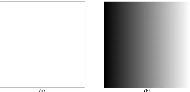 Figure 4: The distance function (b) of the binary image (a) is used as a template in the set labelling with the Feret diameter.