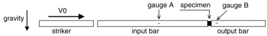 Fig. 2. The standard split Hopkinson pressure bar test