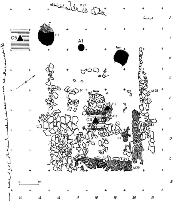 Fig. 4 — Cour domestique 15A (première moitié du ive s.  avant J.-G.)  :  localisation du squelette en place Al et  carrés de découverte  des ossements  isolés C4 et  C5