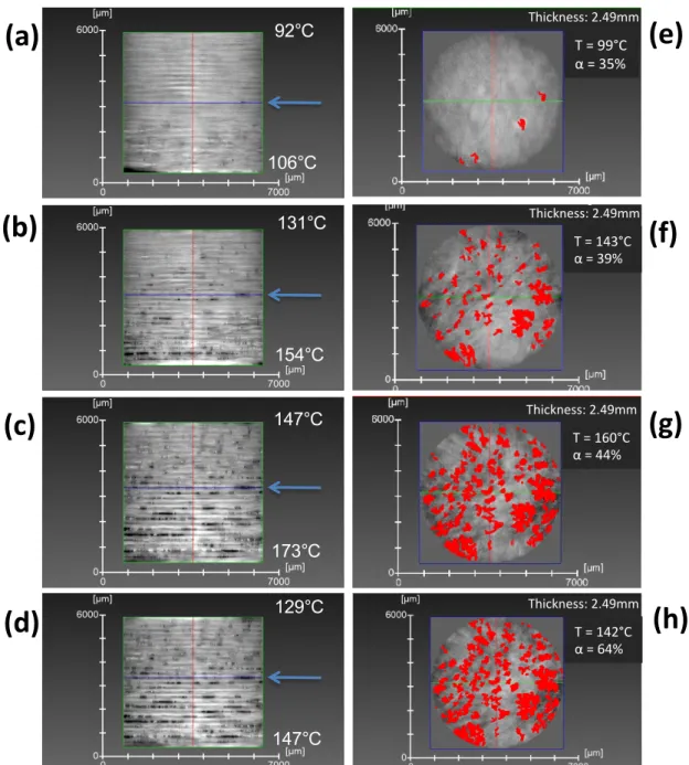 Figure 5: Distribution of pores during the heating (a: 40min, b: 65min, c: 75min) of the partially  cured composite and subsequent cooling (d: 110min)