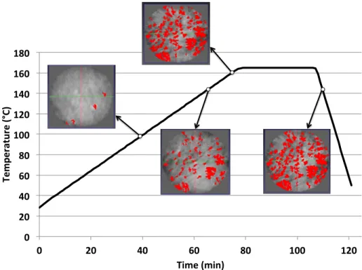 Figure 6: Overview of the image capture during the temperature cycle depicted by Figure 3a