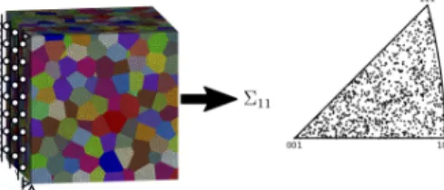Fig. 1: A 1000 grains meshed microstructure with the inverse pole figure.