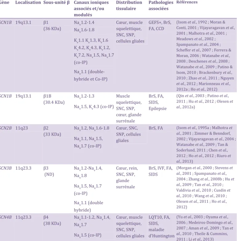 Tableau  3 :  Récapitulatif  des  caractéristiques  des  isoformes  composant  la  famille  des                   sous-unités   des VGSC chez l’(omme