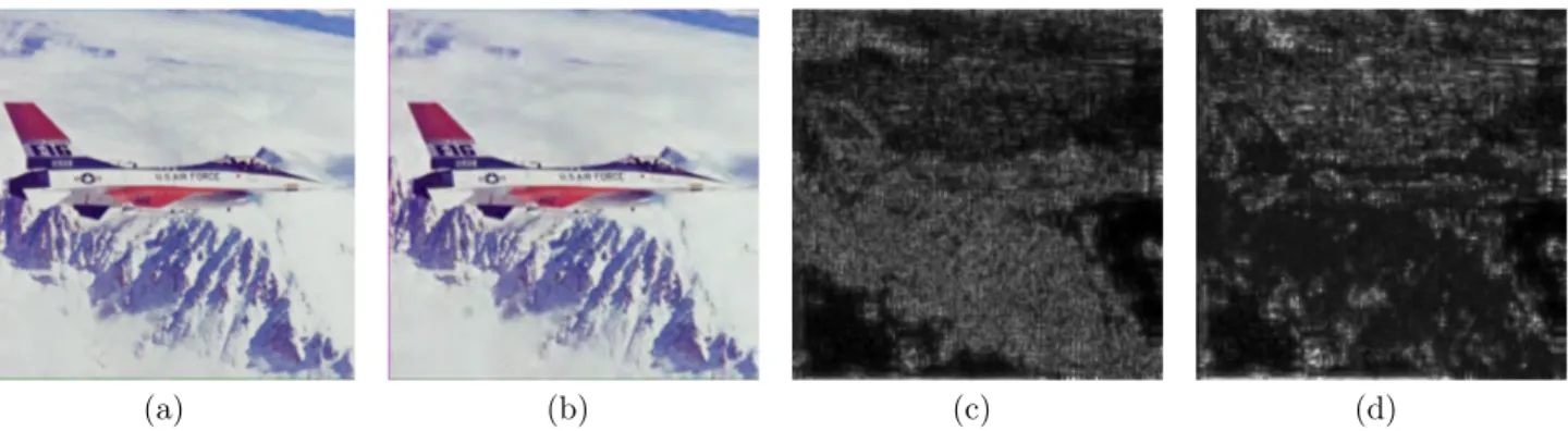 Figure 6. (a) is Plane ,(b) is Plane with J2K compression, (c) and (d) are WQA perceptual error maps with Daly masking and with Daly sLM masking respectively