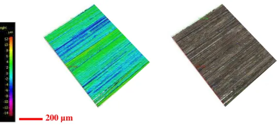 Figure 2 Profilométrie de surface d’une bande de pré-imprégné CF-PEEK, grossissement  × 20  