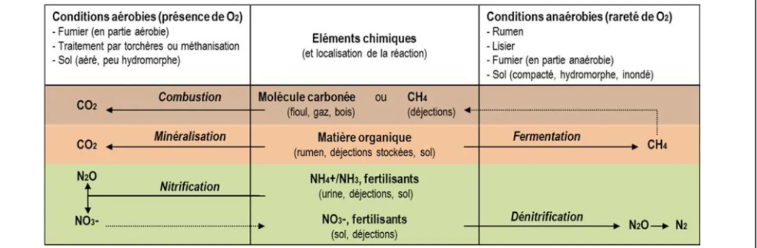 Figure 3. Sources des émissions de GES