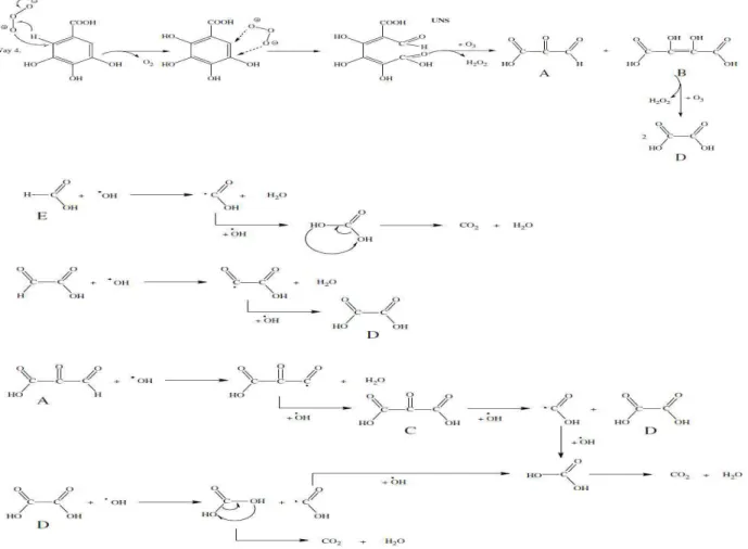 Figure I.14. : Évolution d’AG, 10 -3  M  Symbole : O VUVA ;  ■  adsorption ;  ●  O 3  ;  □  O 3 /  VUVA ;  ▲  O 2 /VUVA/TiO 2  ;  ∆  O 3 /VUVA/TiO 2 