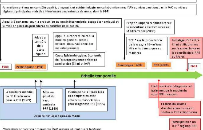 Figure  2 : Implication du Cirad en santé animale au Maroc depuis 30 ans     