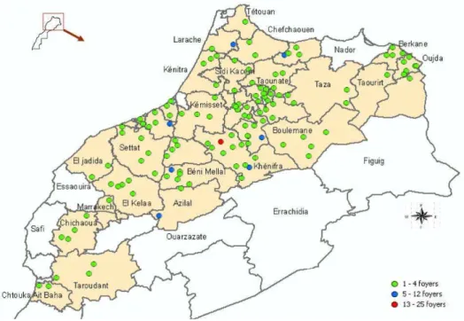 Figure  3.  Distribution  des  foyers  de  PPR  au  Maroc  lors  de  l’émergence  de  la  maladie  en  2008  (source : ONSSA, 2012) 