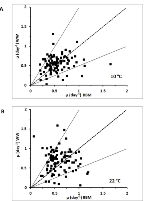 Figure  1:  Effects  of  medium  on  specific  growth  rates;  comparison  of  WW and BBM at 10 °C (A) and 22 °C (B) 